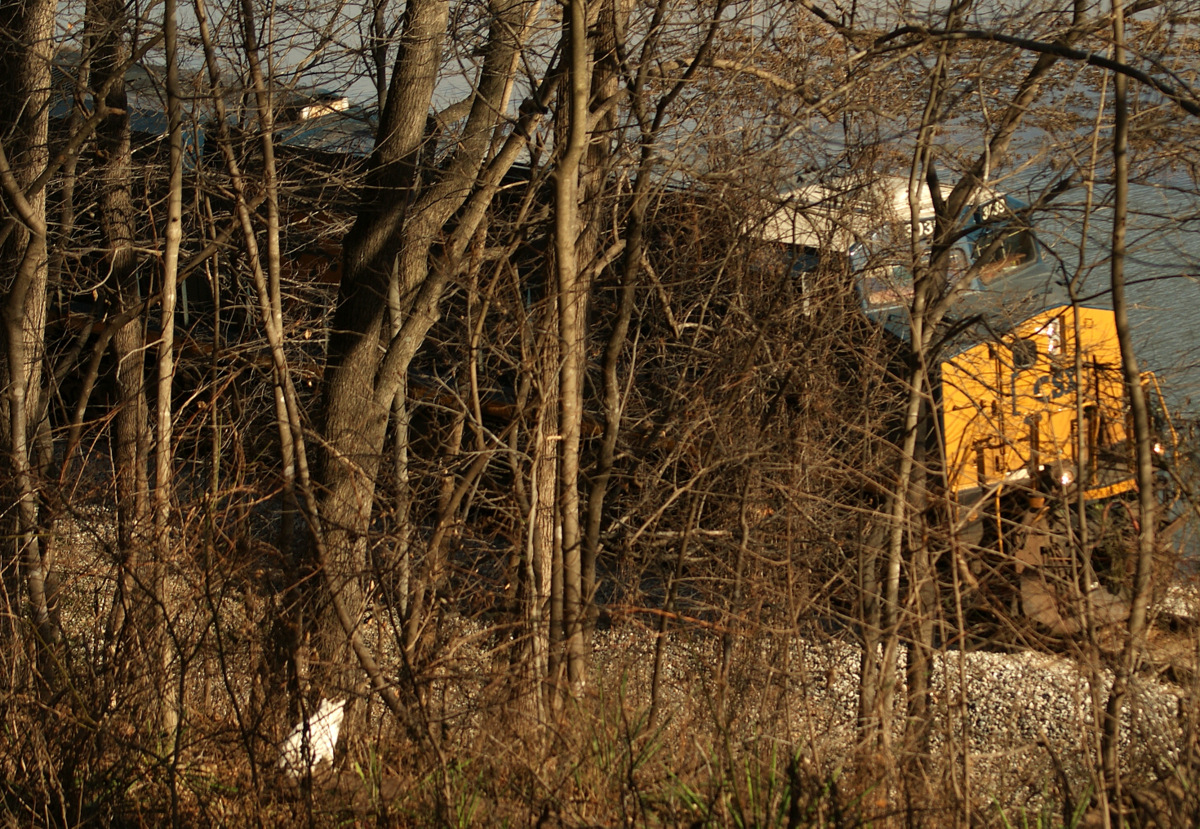 685 - Our kittie, Carson, in the woods with the U18620, engine 3039, going by